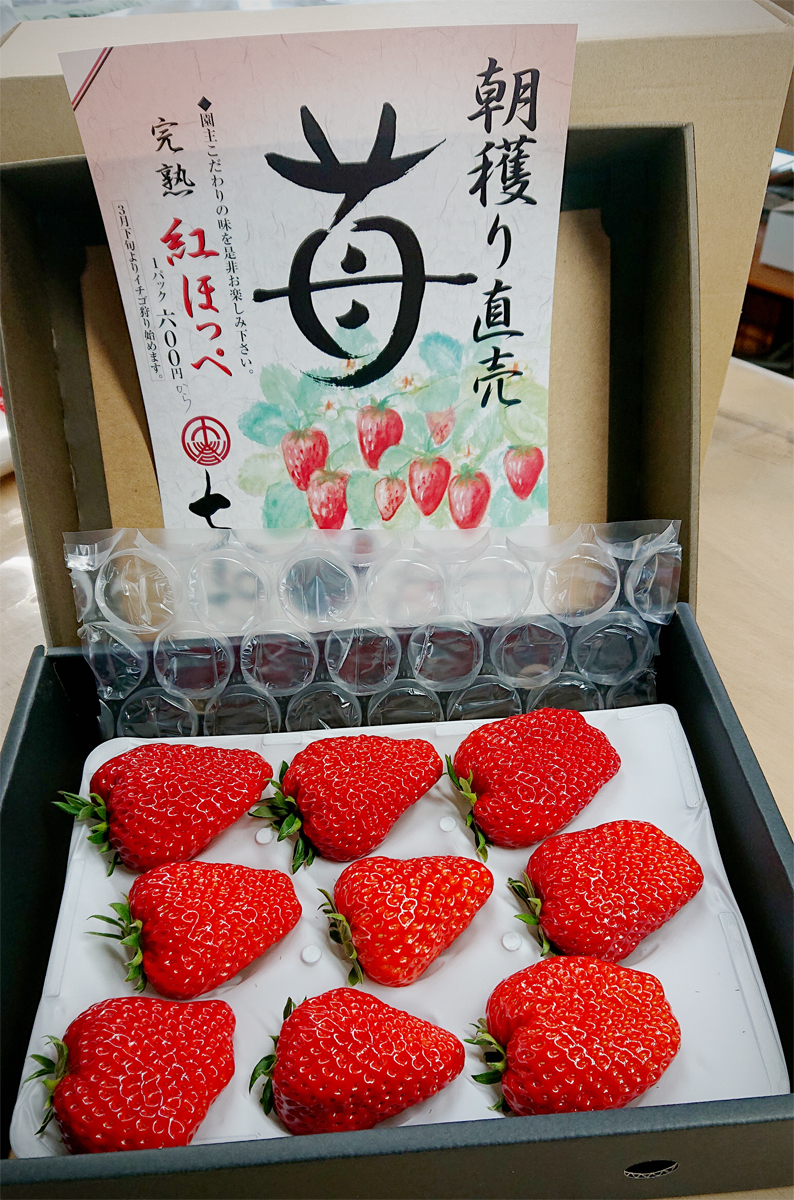 紅ほっぺ出荷08