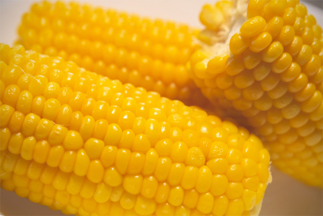 トウモロコシw658*440