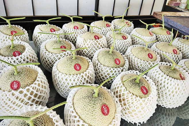 メロン販売