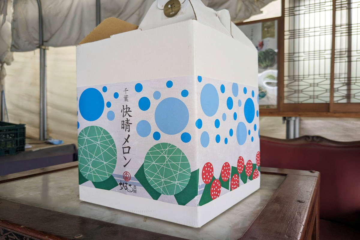 メロンパッケージ03