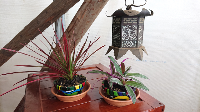 植木鉢01